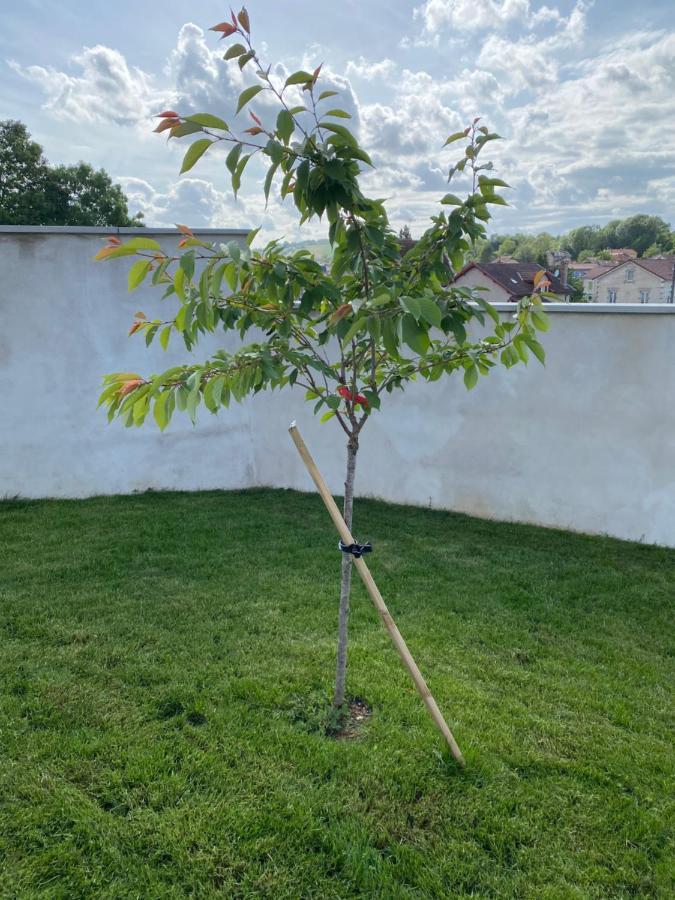 Olga Chambre D'Hote Verdun-sur-Meuse Екстериор снимка